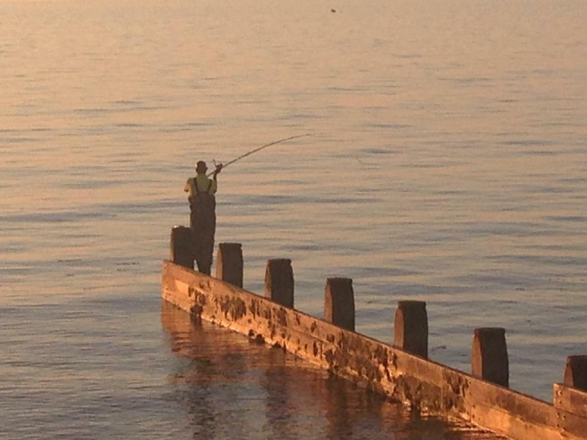 Appartamento 2 Yr Hen Fanc Aberaeron Esterno foto